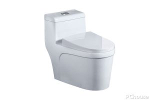 How about Kohler toilet new toilet recommended