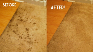 Carpet cleaning: how to remove carpet stains