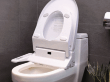 The toilet lid does not land slowly can be repaired