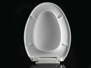 哪里有卖普通马桶盖